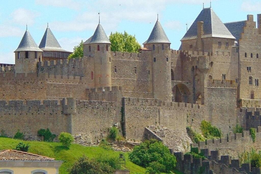 Spacieux Appartement Au Pied De La Cite Medievale Carcassonne Exterior photo