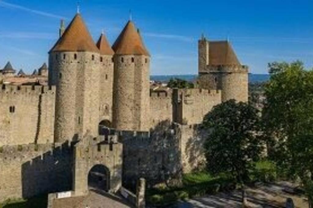 Spacieux Appartement Au Pied De La Cite Medievale Carcassonne Exterior photo